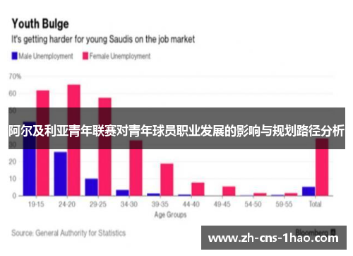 阿尔及利亚青年联赛对青年球员职业发展的影响与规划路径分析 阿尔及利亚青年联赛对青年球员职业发展的影响与规划路径分析